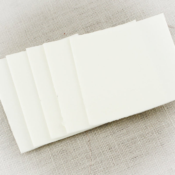 Pro Polish Pads