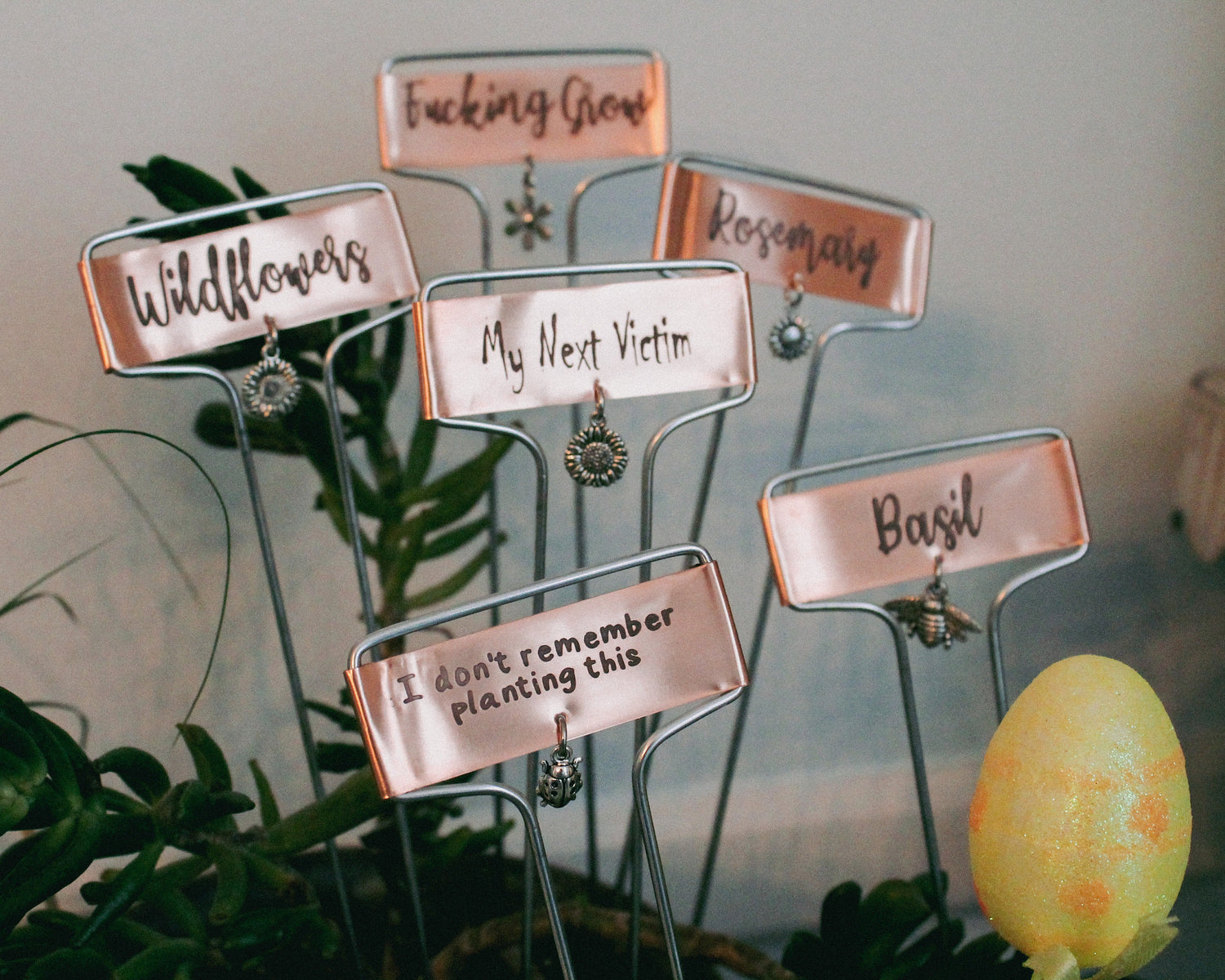 indoor plant tags Plant or Garden Marker